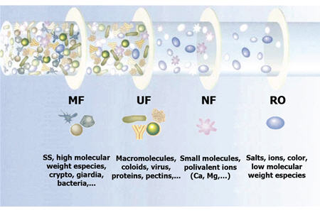 Ultrafiltration vs. Microfiltration