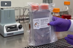 Harvesting In The PBS Mini