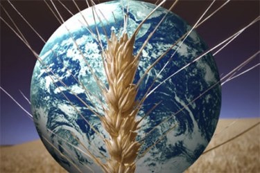 Global Food Demand Investment And Innovation