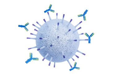 AP+80 Bind Twp No Background