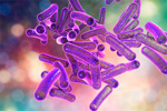 GettyImages-808760478 Bacteria Shigella