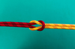 reef knot-GettyImages-2162094857