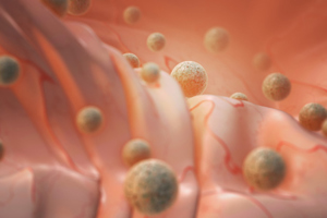 Human cell, Embryonic stem cell-GettyImages-1445386714