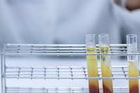 BHCS34722-Animal-Fat-Application-Note_R2-(1)-1