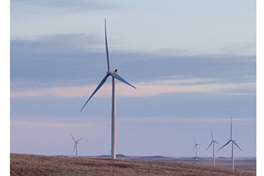 IM2015110233WP_072dpi.jpg IM2015110233WP_072dpi.jpg