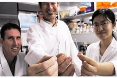 SCI dipstick researchers