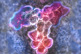 GettyImages-1219502481_antibody GettyImages-1219502481_antibody