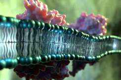 biology, biochemistry-GettyImages-1657852866