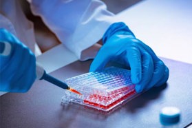 Robust, Flexible Cell Lines That Fit Your Strategy GettyImages-2163606903-gloves-pipet-cell-culture-assay