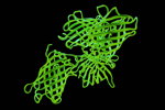 GettyImages-1401910116 green fluorescent proteins