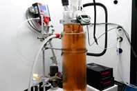 Decoding Ozone Disinfection DecodingOzoneDisinfection