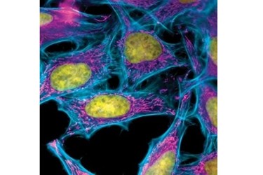 AMSBIO.jpg AMSBIO.jpg