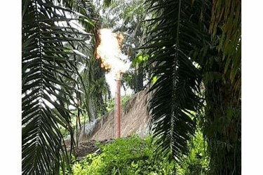 SNV LG-1 Up-dip Flare SNV LG-1 Up-dip Flare
