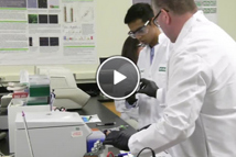 Overview Of DoE workshop At Bio-Rad 