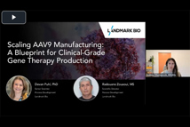 Scaling aav9