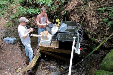 Nutrient Pollution Damages Streams In Ways Previously Unknown ...