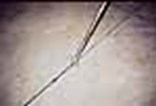 100% Solids Joint Filler 100% Solids Joint Filler