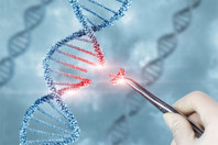 GettyImages-1316503044-dna-strand-double-helix-gene-editing