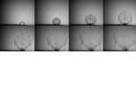 silpr40-imageA.jpg