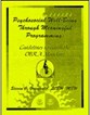 Psychosocial Well-Being Through Meaningful Programming Psychosocial Well-Being Through Meaningful Programming