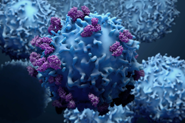 GettyImages-1140808305 cells