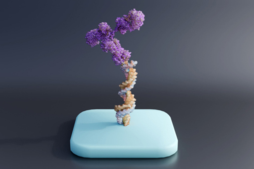 Mechanism of Antibody-oligonucleotide conjugates or AOC-GettyImages-1826415391