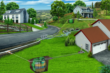 Prelos illustration_green tank