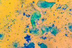 Bacterial cells chains, Streptococcus pyogenes-GettyImages-2161636013
