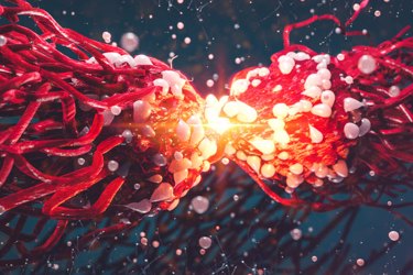 cell-gene cell-gene