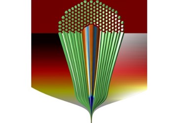 Photonic Bandgap