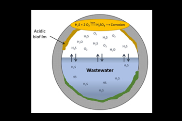 gas vs liquid feature gas vs liquid feature
