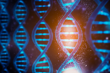 DNA Gene Strand