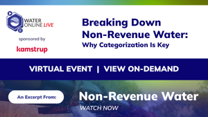 Breaking Down Non-Revenue Water: Why Categorization Is Key