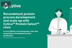 Recombinant Protein Process Development And Scale-Up