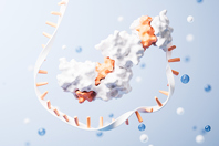 GettyImages-2047658928 RNA Protein