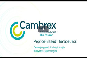 cambrex pep web thumb cambrex pep web thumb
