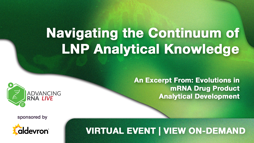 Navigating the Continuum of LNP Analytical Knowledge
