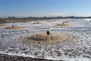 aqua-jet-mechanical-aerator