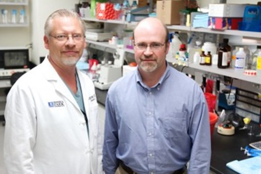 nid93583-fenstermaker-ciesielski-32