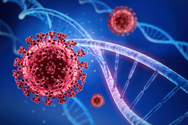 iStock-1268214384-cell-gene-virus iStock-1268214384-cell-gene-virus