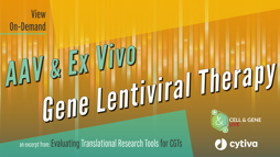 22_11_CGL_TRT_Webinar_seg6_1920x1080 22_11_CGL_TRT_Webinar_seg6_1920x1080
