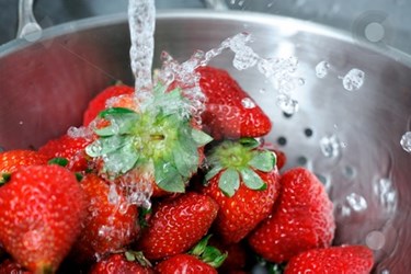 Food Safety Food Safety