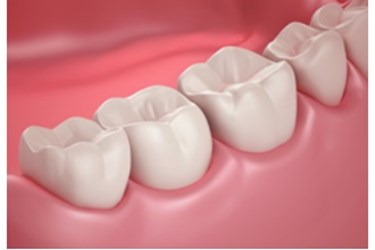 teeth teeth