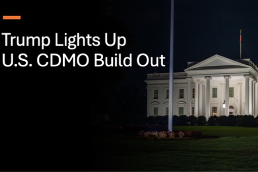 Flag Pole Light-GettyImages-2224545009