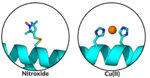 protein_molecular_structures_ligand_binding_models