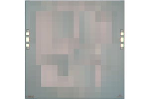 Marki - MFBP-00084CH