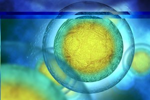 3 Critical Considerations For Cell Therapy Manufacturing