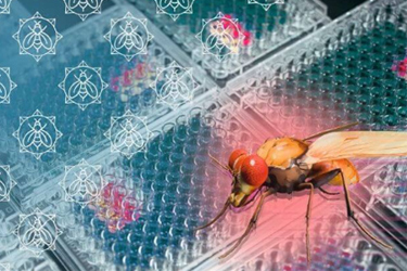 Resolving In-Vitro Diagnostic Supply Chain Constraints_FutureFields Resolving In-Vitro Diagnostic Supply Chain Constraints_FutureFields