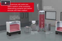 Perfusion Medium Selection And Testing