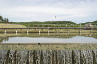 18_VERT_0515_WaterJeffersonParish_300x450